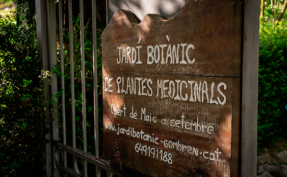 Jardin botanique de plantes médicinales